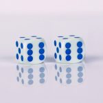 Precision dice calibrated White with blue dots